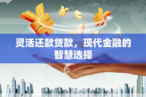 阜沙灵活还款贷款，现代金融的智慧选择
