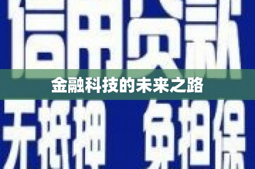 阜沙金融科技的未来之路
