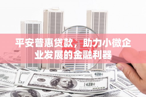 阜沙平安普惠贷款，助力小微企业发展的金融利器