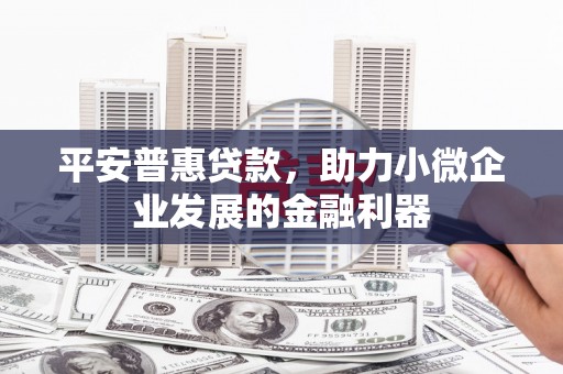 阜沙平安普惠贷款，助力小微企业发展的金融利器