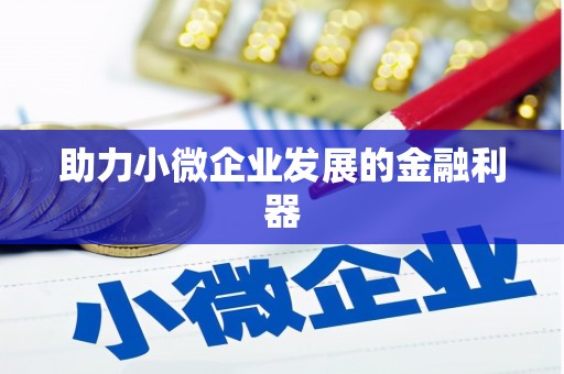 阜沙助力小微企业发展的金融利器