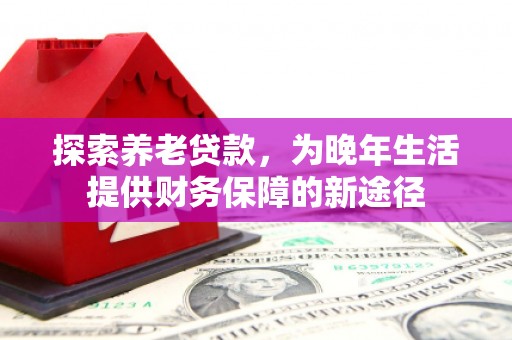 阜沙探索养老贷款，为晚年生活提供财务保障的新途径