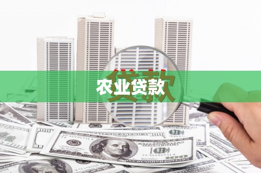 阜沙农业贷款