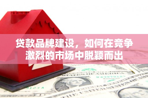 阜沙贷款品牌建设，如何在竞争激烈的市场中脱颖而出