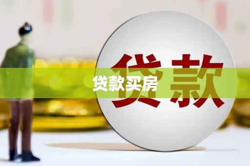 阜沙贷款买房