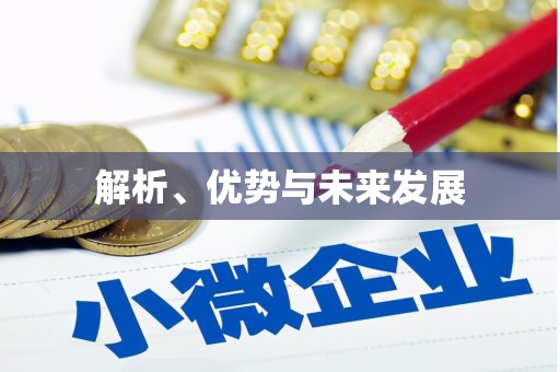 阜沙解析、优势与未来发展