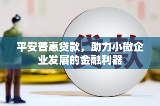 阜沙平安普惠贷款，助力小微企业发展的金融利器