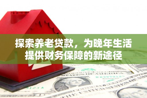 阜沙探索养老贷款，为晚年生活提供财务保障的新途径