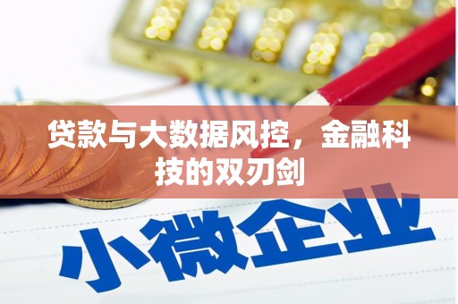 阜沙贷款与大数据风控，金融科技的双刃剑