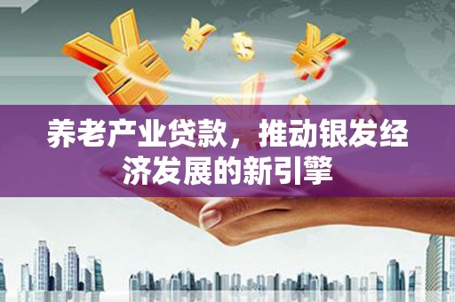 阜沙养老产业贷款，推动银发经济发展的新引擎