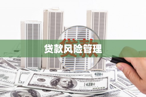 阜沙贷款风险管理