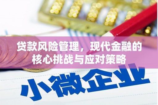 阜沙贷款风险管理，现代金融的核心挑战与应对策略
