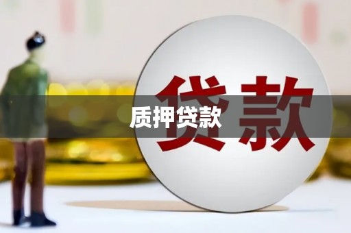 阜沙质押贷款