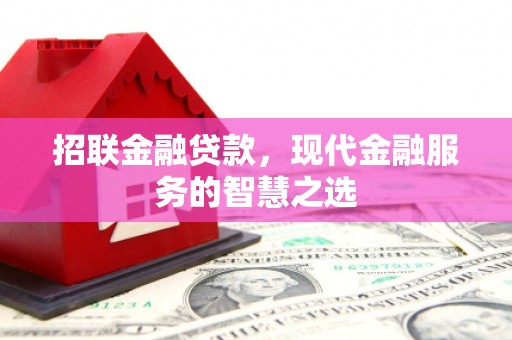 阜沙招联金融贷款，现代金融服务的智慧之选