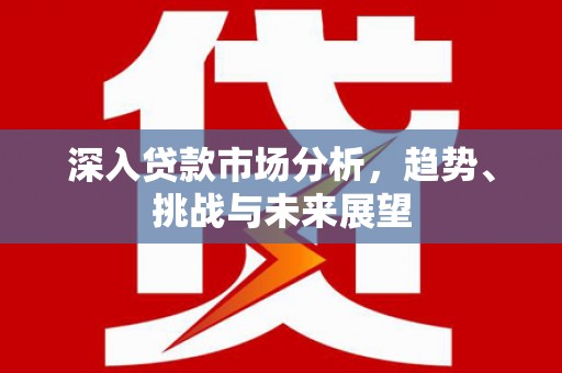 阜沙深入贷款市场分析，趋势、挑战与未来展望