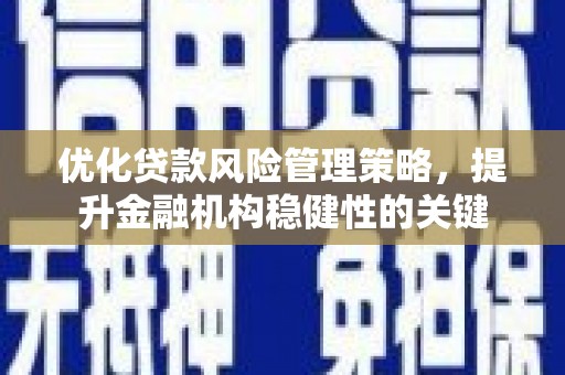 阜沙优化贷款风险管理策略，提升金融机构稳健性的关键