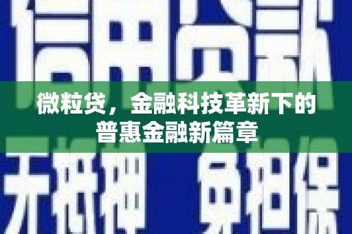 阜沙微粒贷，金融科技革新下的普惠金融新篇章
