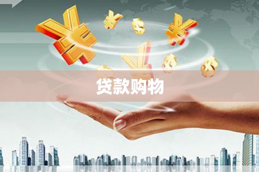 阜沙贷款购物