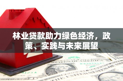 阜沙林业贷款助力绿色经济，政策、实践与未来展望