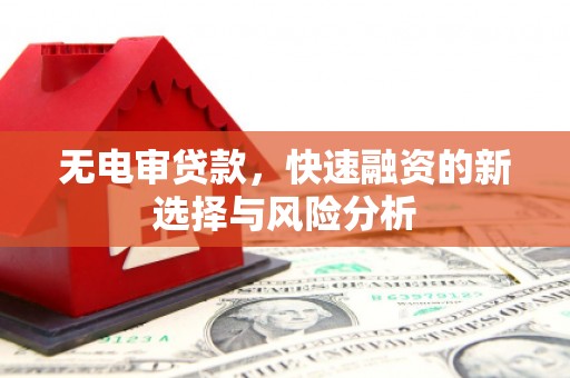 阜沙无电审贷款，快速融资的新选择与风险分析