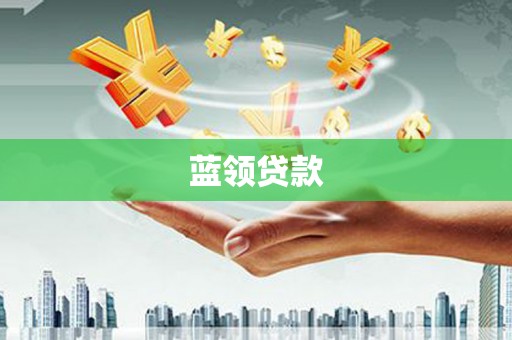 阜沙蓝领贷款