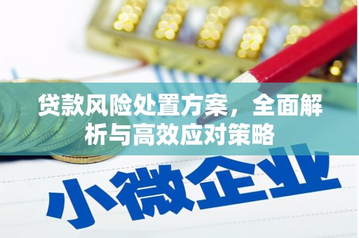 阜沙贷款风险处置方案，全面解析与高效应对策略