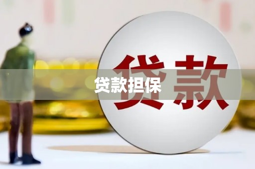 阜沙贷款担保