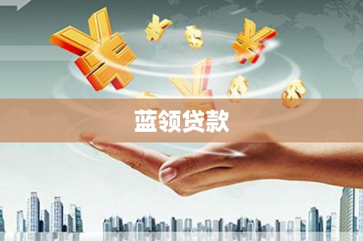 阜沙蓝领贷款