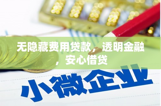 阜沙无隐藏费用贷款，透明金融，安心借贷
