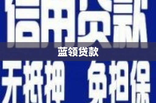 阜沙蓝领贷款