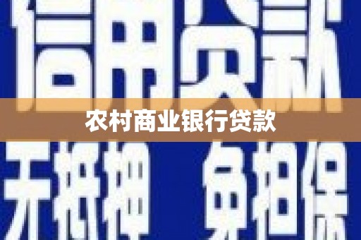 阜沙农村商业银行贷款