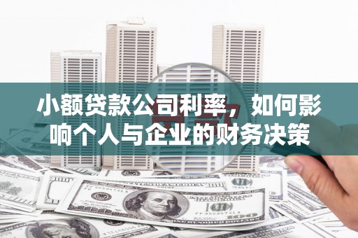 阜沙小额贷款公司利率，如何影响个人与企业的财务决策