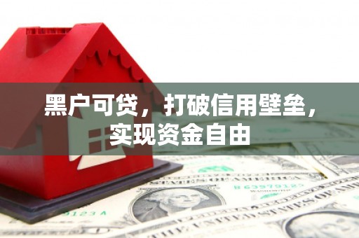 阜沙黑户可贷，打破信用壁垒，实现资金自由