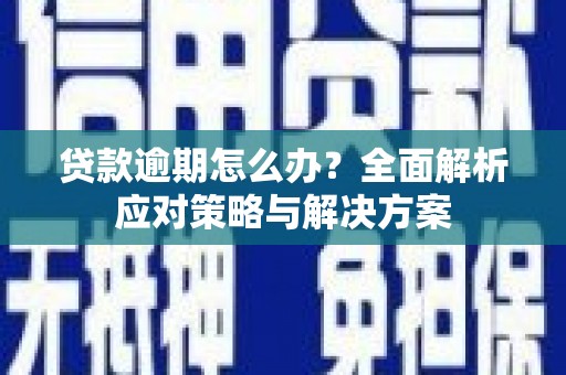 阜沙贷款逾期怎么办？全面解析应对策略与解决方案