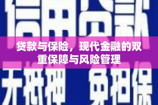 阜沙贷款与保险，现代金融的双重保障与风险管理