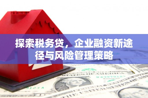 阜沙探索税务贷，企业融资新途径与风险管理策略