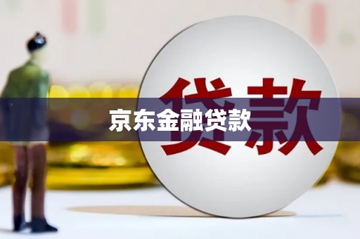 阜沙京东金融贷款