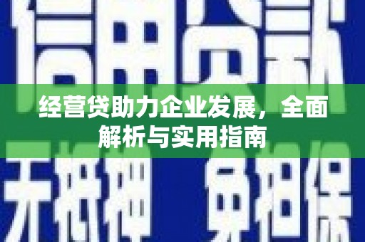 阜沙经营贷助力企业发展，全面解析与实用指南