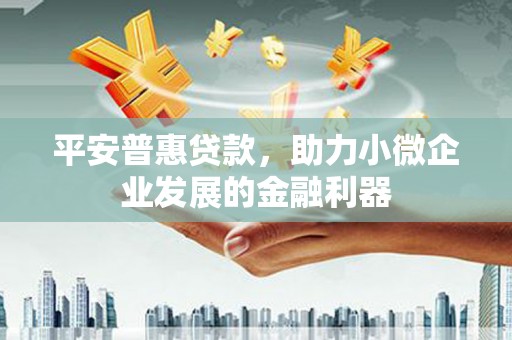 阜沙平安普惠贷款，助力小微企业发展的金融利器