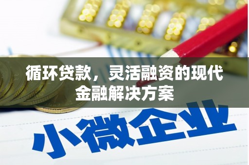 阜沙循环贷款，灵活融资的现代金融解决方案