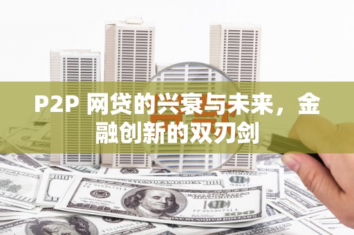 阜沙P2P 网贷的兴衰与未来，金融创新的双刃剑