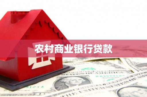 阜沙农村商业银行贷款