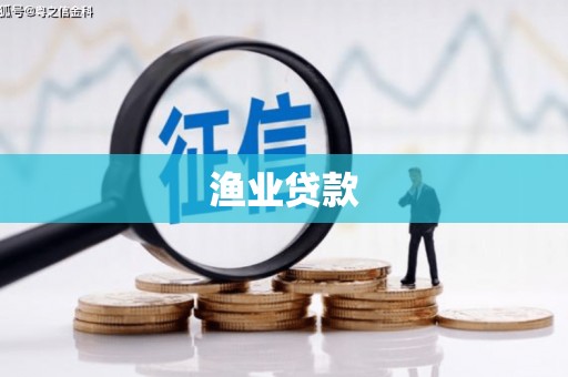 阜沙渔业贷款