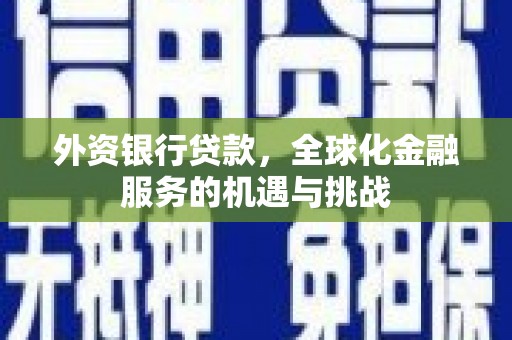 阜沙外资银行贷款，全球化金融服务的机遇与挑战
