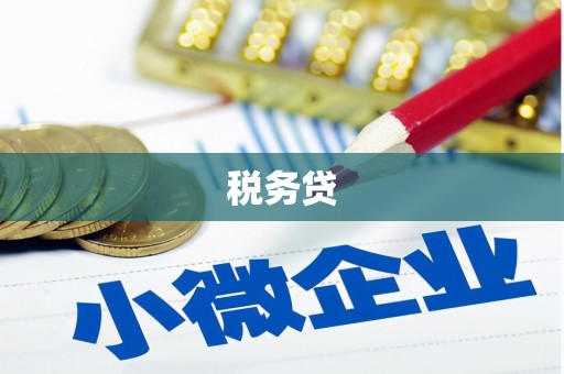 阜沙税务贷