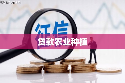 阜沙贷款农业种植