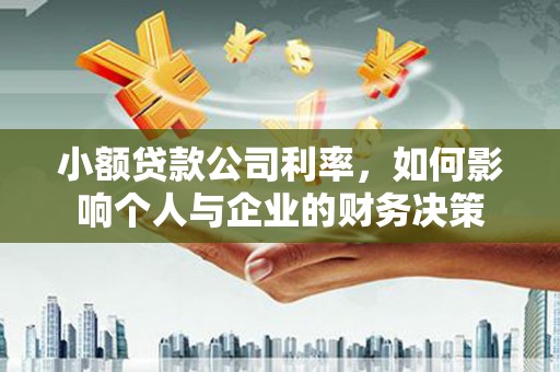 阜沙小额贷款公司利率，如何影响个人与企业的财务决策