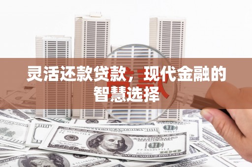 阜沙灵活还款贷款，现代金融的智慧选择