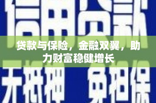 阜沙贷款与保险，金融双翼，助力财富稳健增长