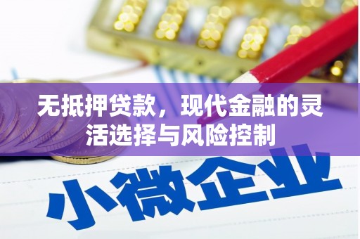 阜沙无抵押贷款，现代金融的灵活选择与风险控制